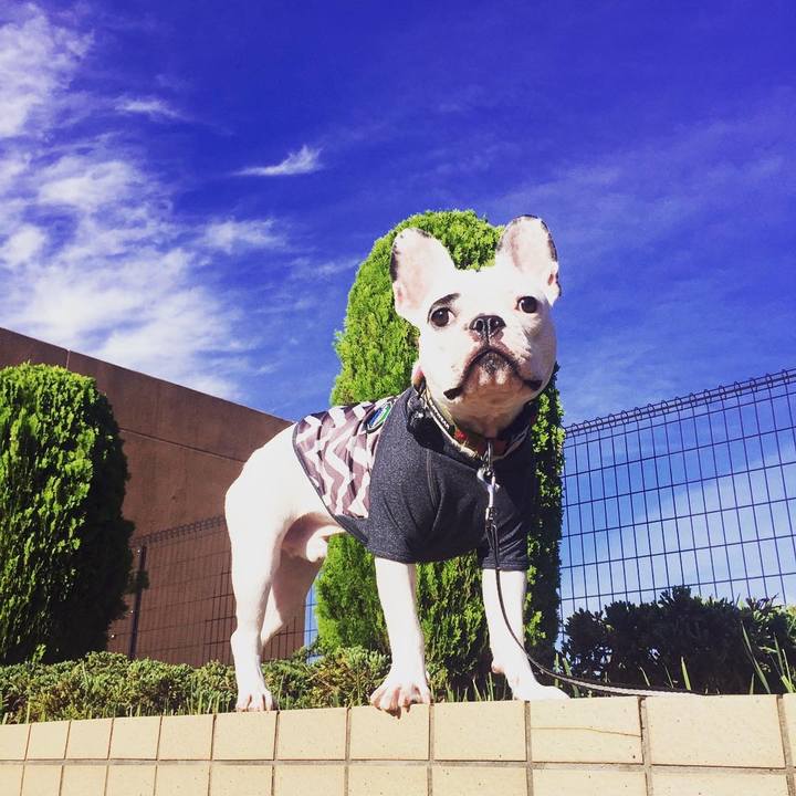 Ee83dae7 743f 42fc 8307 d2e454b604df