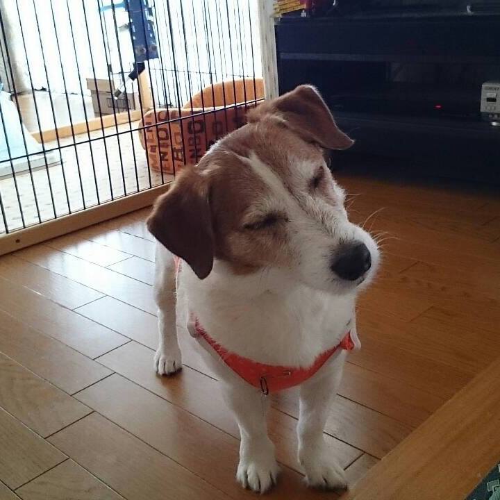 Ee83f742 3f84 4b98 a374 1fa39e962dcb