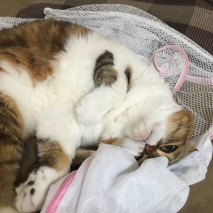 Ee84048f ab8f 482b a95d fe86101585d5