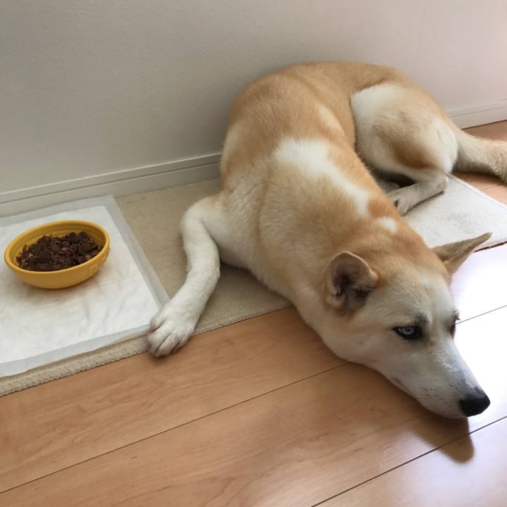 Ee8434dd 2f4d 42bd b9b2 c563853fc5d6