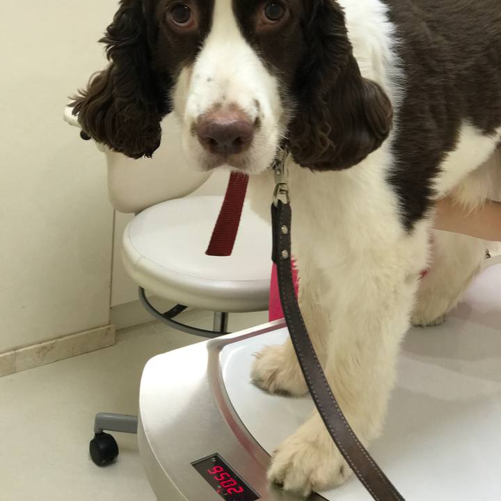 Ee843ce8 deea 4a51 81a4 8ba1aaa548a4