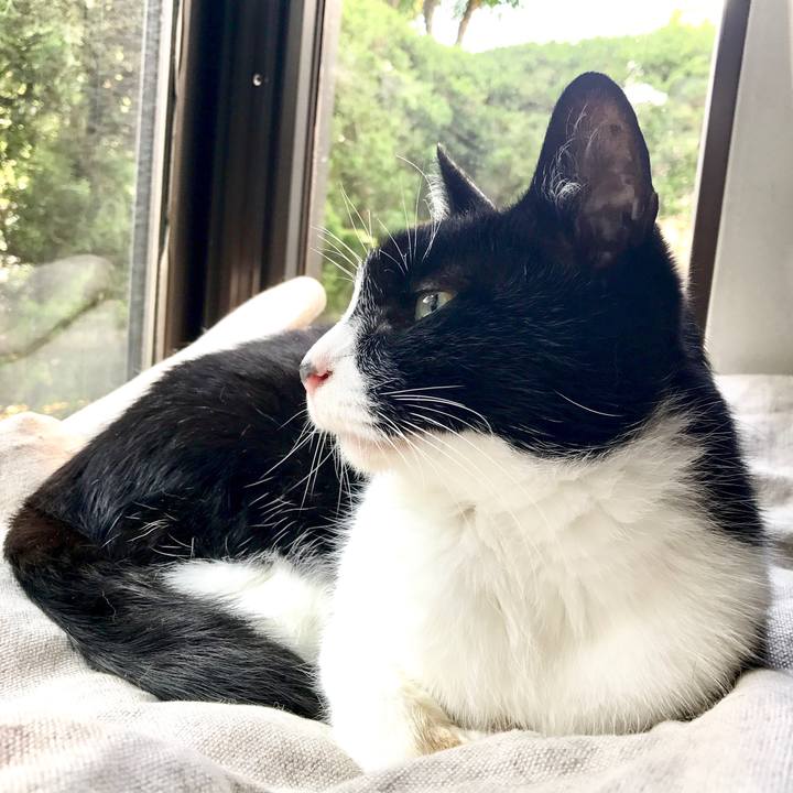 Ee846e31 f926 4f5f b289 44a9e8743b60