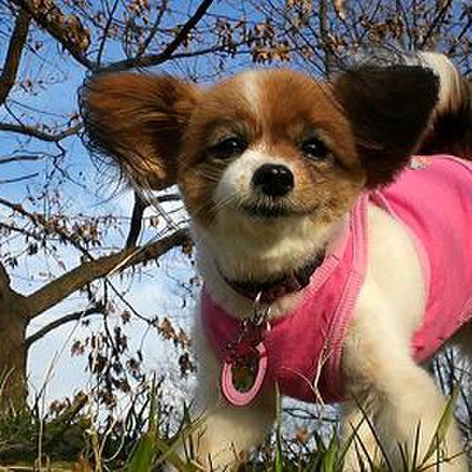 Ee848608 917c 40a2 87bf 1dfffd3af958