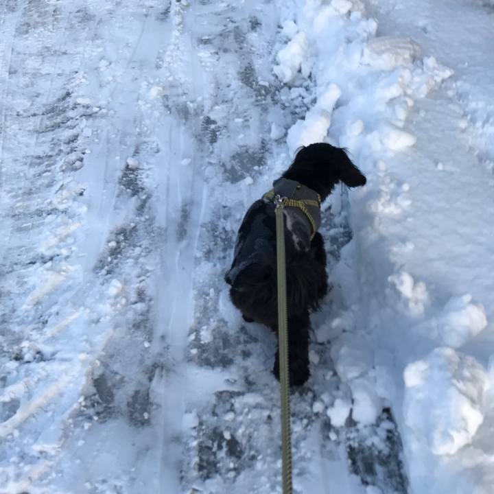 Ee84a781 d9e1 43cd b3bc 3f679f8f7e38