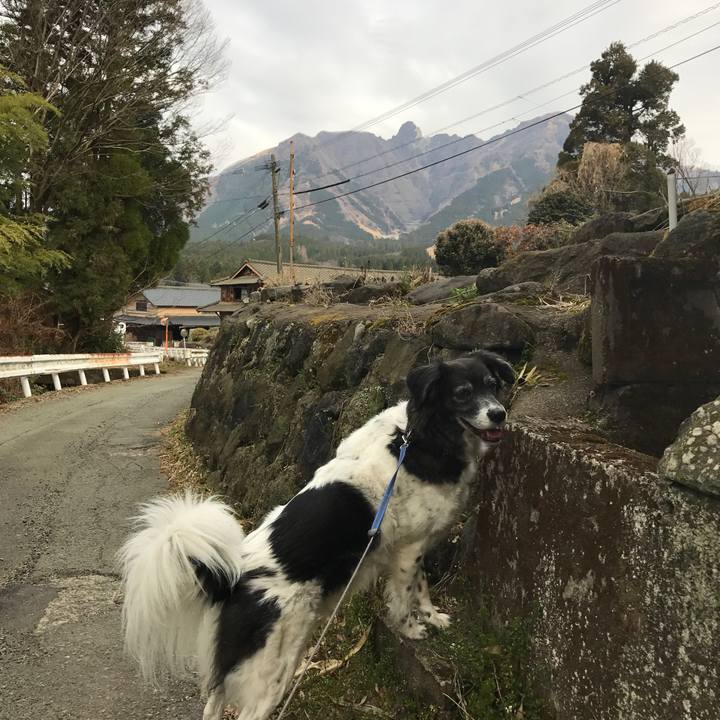 Ee852188 0ed7 4ff0 ad27 52ec2470a0b0