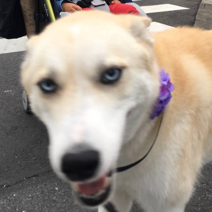 Ee85dccf ceae 4c3b be28 bd31ddacbb93