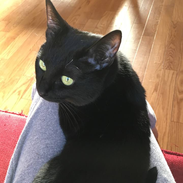 Ee85e59c 4f48 4144 8158 a962391405eb