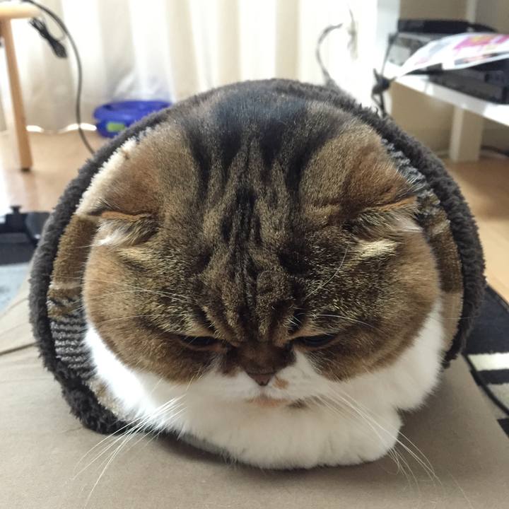 Ee8612ed a45b 44d6 8d3d a0ef6d65baf5