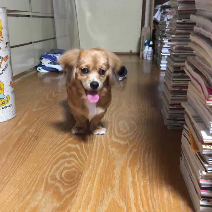 Ee8694f6 85be 4d4d 9f0f da0eb52ceaa2