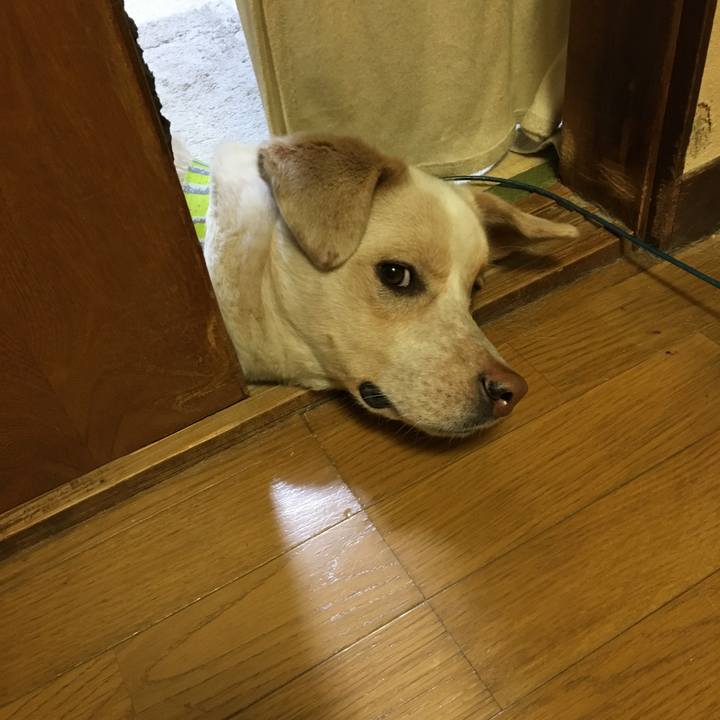 Ee87139f 1f5b 421a 9ae9 d8baed088b5f