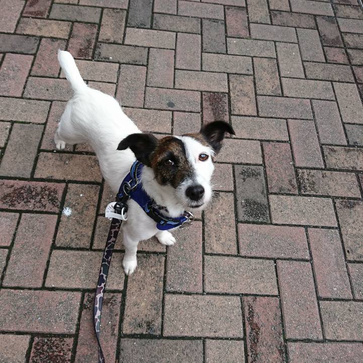 Ee8760a0 c69a 4e1f a872 daa607bfcf1a