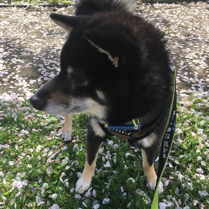 Ee876a30 3df3 4b2c 9575 7421dcc440d4