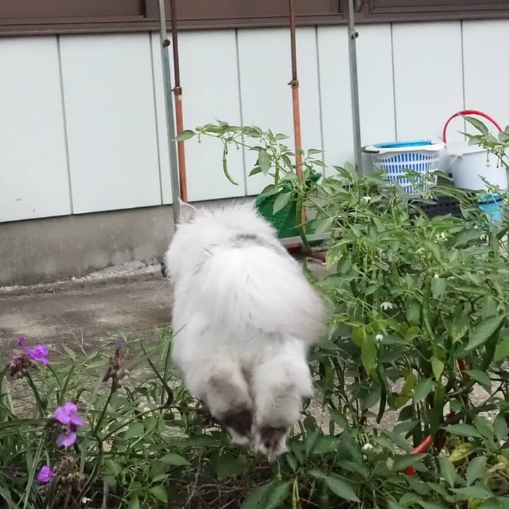 Ee8796da fa5d 4706 8ff8 f3349cd1b4b1