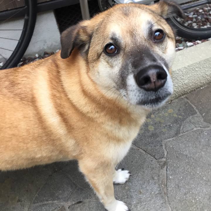 Ee8833ec 06ce 48db 9cc8 3ca193f96eb7