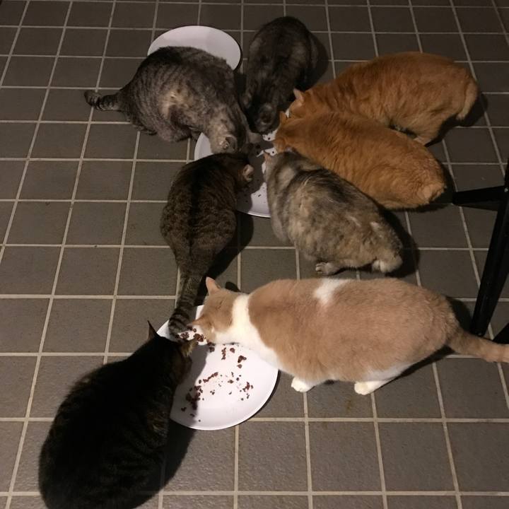 Ee886744 e68f 4ac4 802b fd47f69cb78d