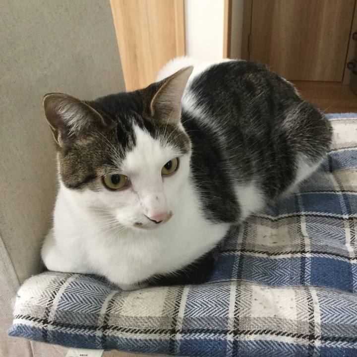 Ee8871e6 94d9 4cae 95b1 36d42318a89d