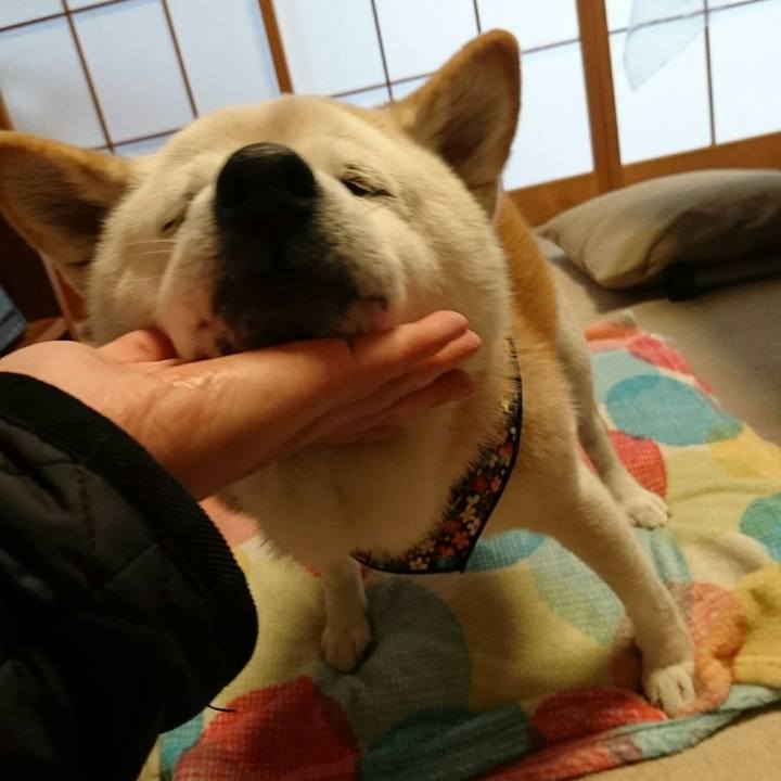 Ee888fe1 4921 4df7 ab7b 4d8223b05bf2