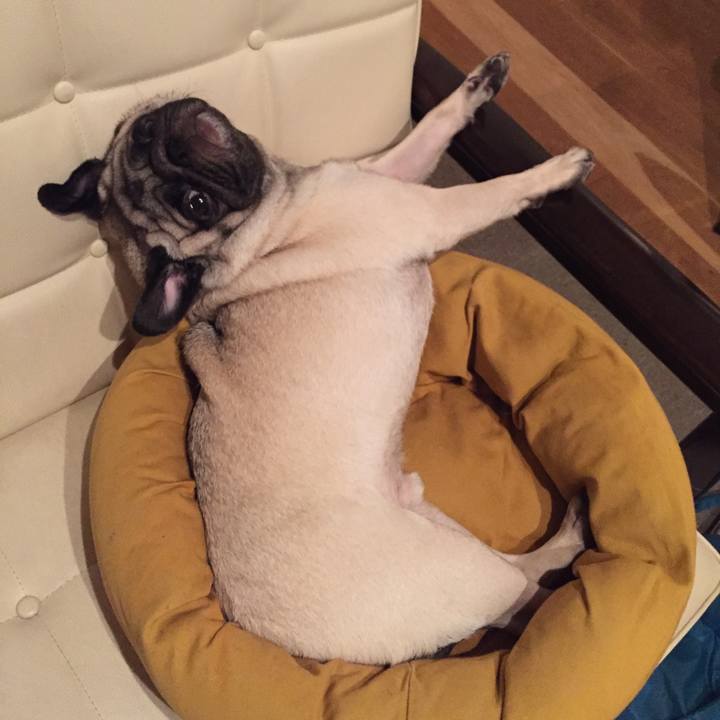 Ee88b531 c410 4f6e 9d51 092b8414f051