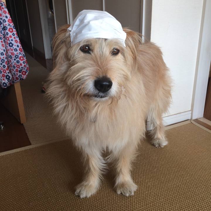 Ee88ed83 9f87 480b 8b55 5d3117ba93aa