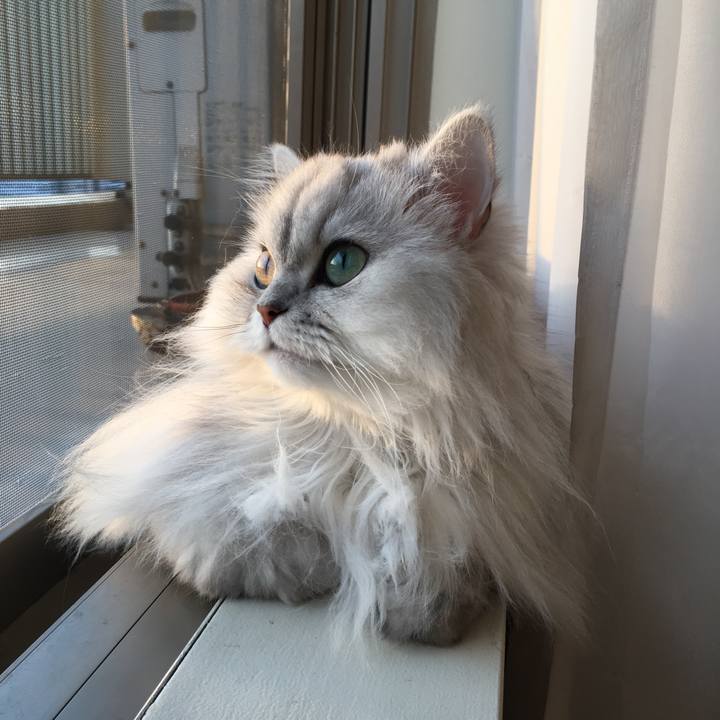 Ee89faf5 75af 41e4 89fb 5db028e0aad9