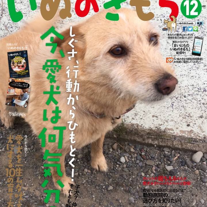 Ee8a4172 f72e 4256 b721 96a653a56427