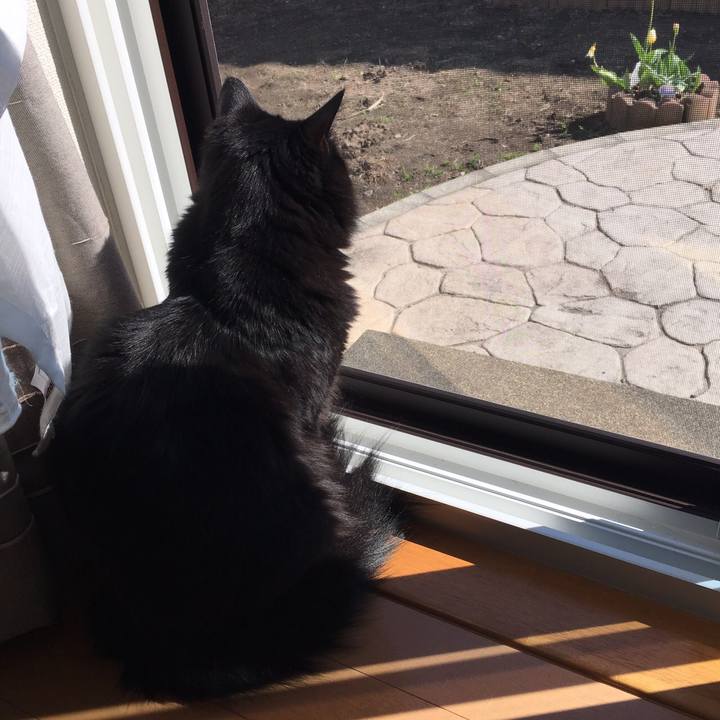 Ee8a7d51 ccd5 452b 9b4c f224a04b3416