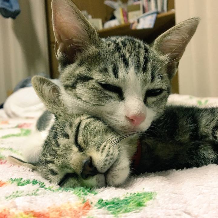 Ee8b0024 a577 4e2f b7a9 28d7a4c9b572