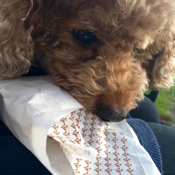 Ee8b0630 662f 45aa bc49 e28669e49d57