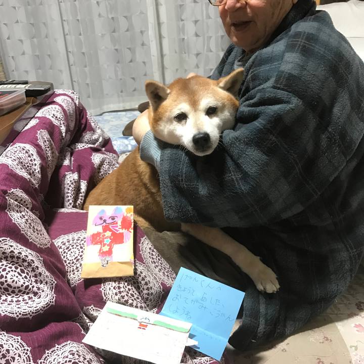 Ee8b2f89 535c 4d55 81ec 07378eb02896