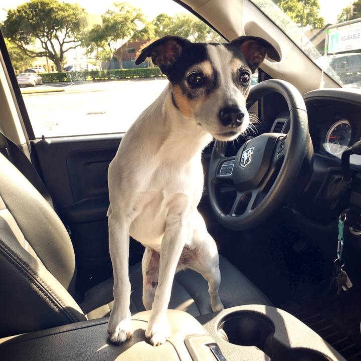 Ee8bb555 7fb7 4cb4 9188 efb978ce9707