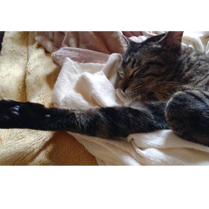 Ee8c5786 2f57 412b a6e4 5f1e23aab990