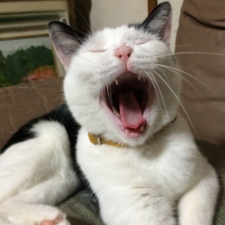 Ee8c5db9 7f42 40a7 871d 1c993e82845a