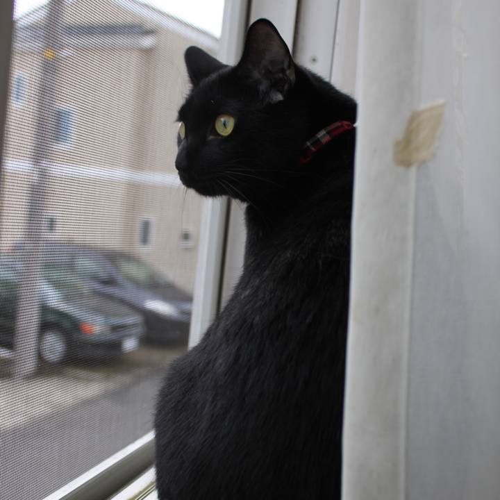 Ee8c7cdf 99cb 47ee b410 7fdd7e2817ac