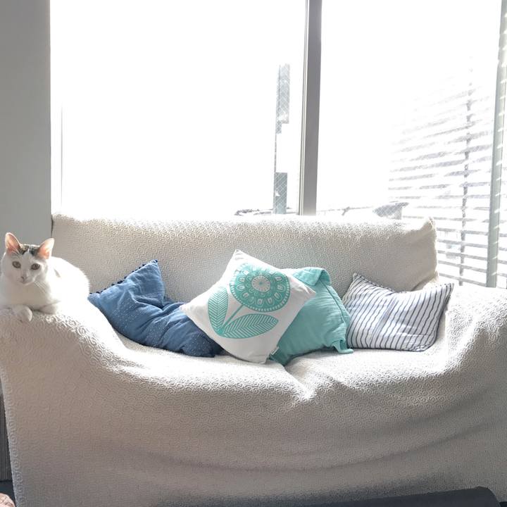 Ee8d4d28 6186 4322 b277 19c7cf3fdf35