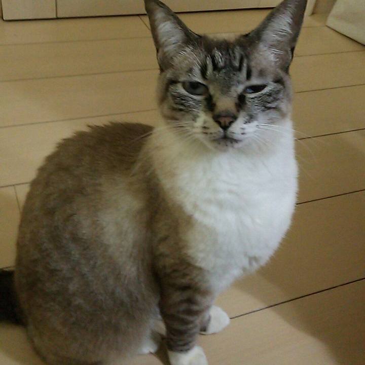 Ee8d9e9b 600e 44f1 8870 b2dbe212fe94