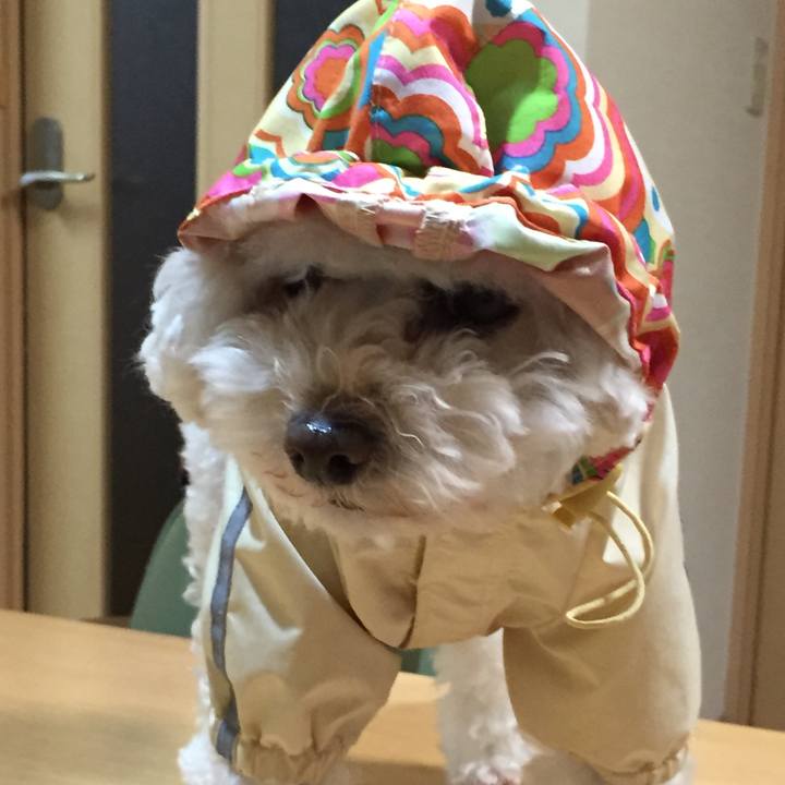 Ee8e1693 ec10 46f3 9fc9 d8dafe4af799