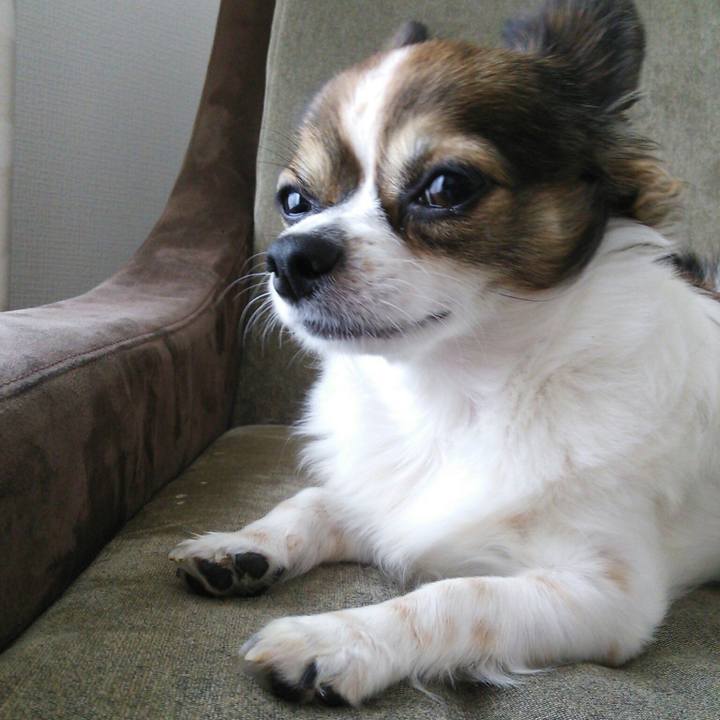 Ee902f24 7d4d 4ddf 8d84 4a4323ccc440