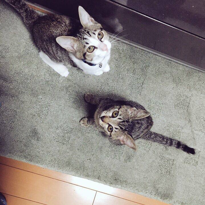 Ee9050d0 52ca 47fb be00 83bf6e3cee4d