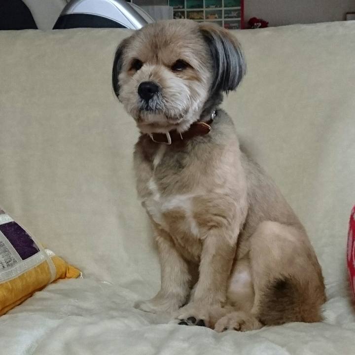 Ee90628c b393 436f a0f4 8603a0a41638