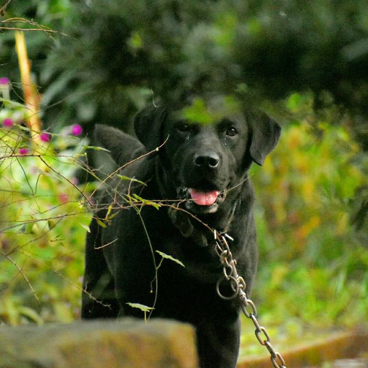 Ee90bae2 b05a 4149 877e 5273b424c5be