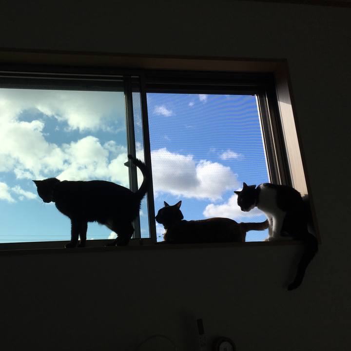 Ee90beb7 22e4 4a6a 9fef 6b3bcff9d275