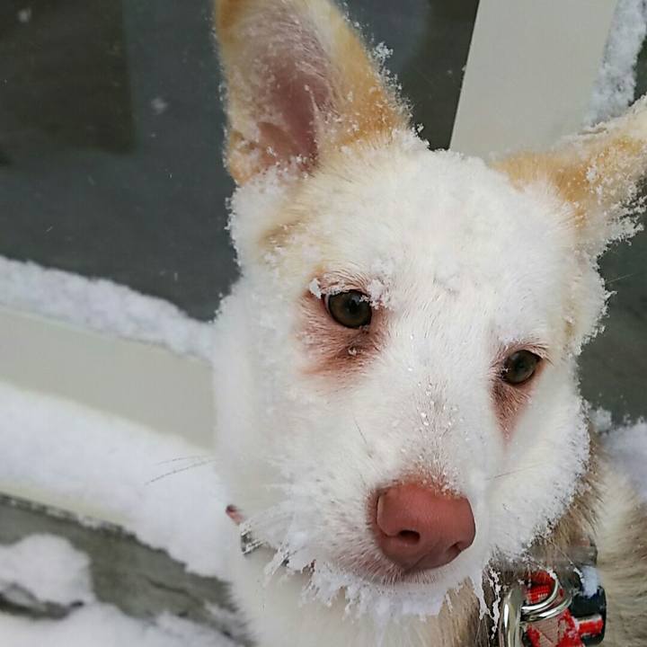 Ee90ce6f c615 4474 9e6a 05d6df782ef3