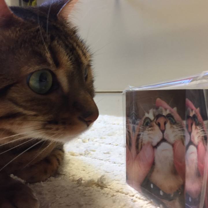 Ee90d286 fb5b 46f2 9cea ff5a373edf5b