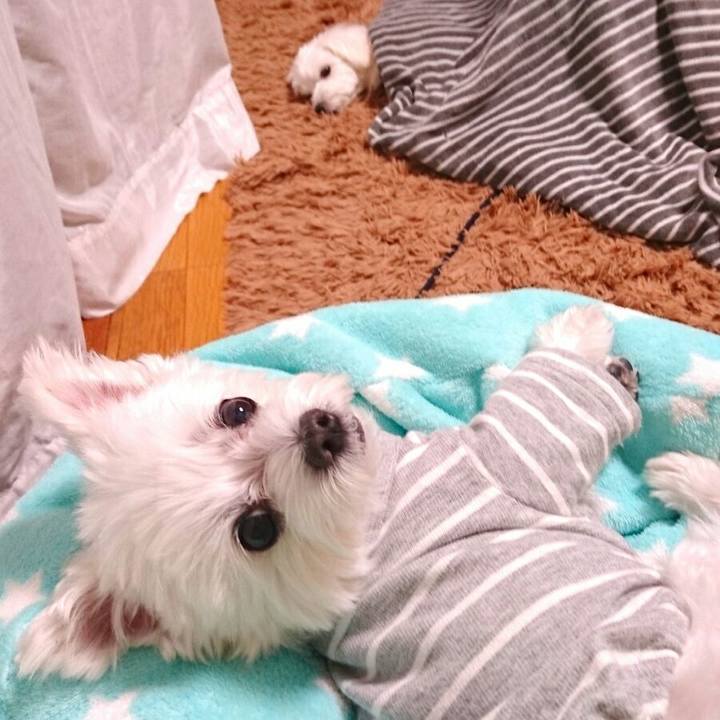 Ee9154d6 79ed 4c1b 9363 9cffa96a1659