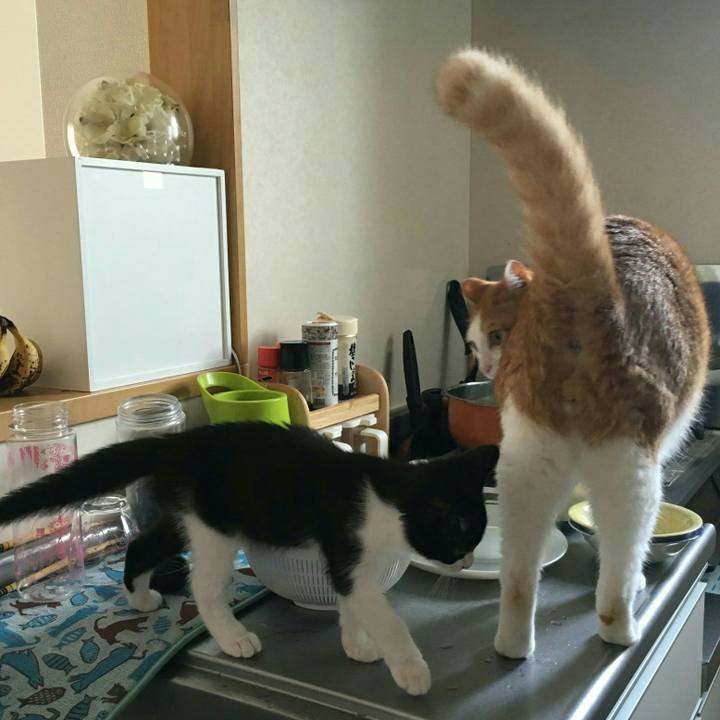 Ee917224 ce49 4fa9 b966 6d8b3d9a7e0a