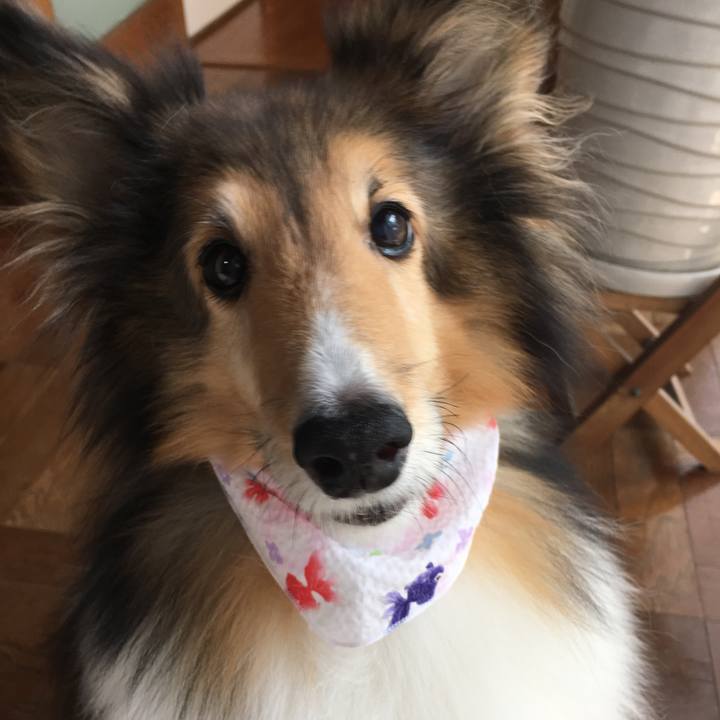 Ee939053 e8c2 40a6 8ff3 4069ce70427a