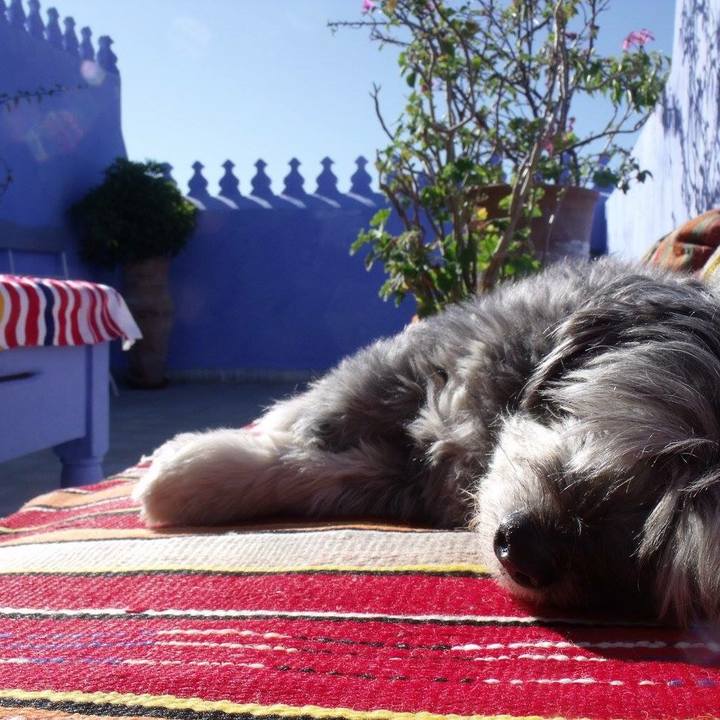 Ee943516 6982 4355 9203 aa3df7cfab3a