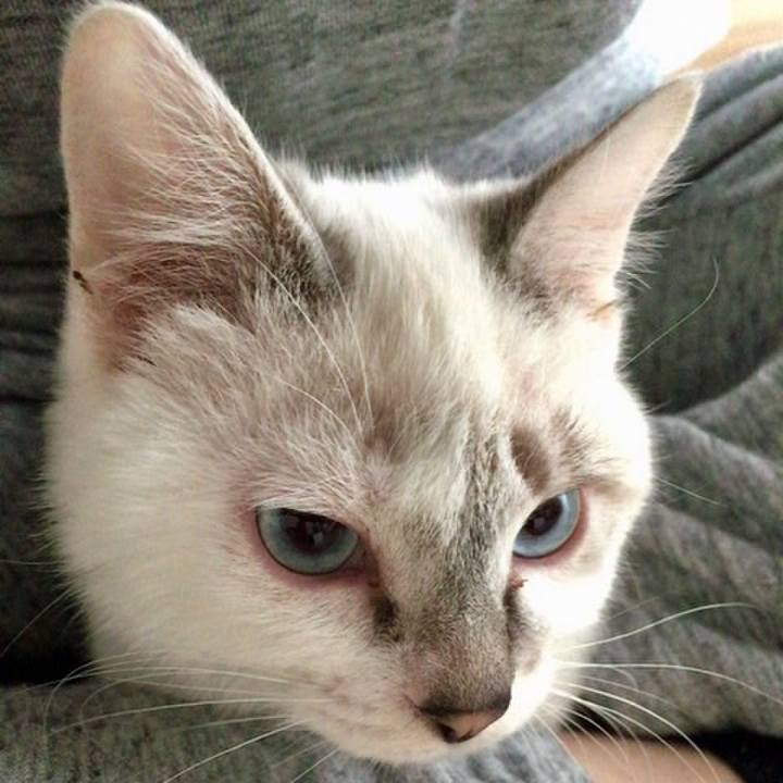 Ee943c4a 758c 4bf8 b285 9823731a8f06