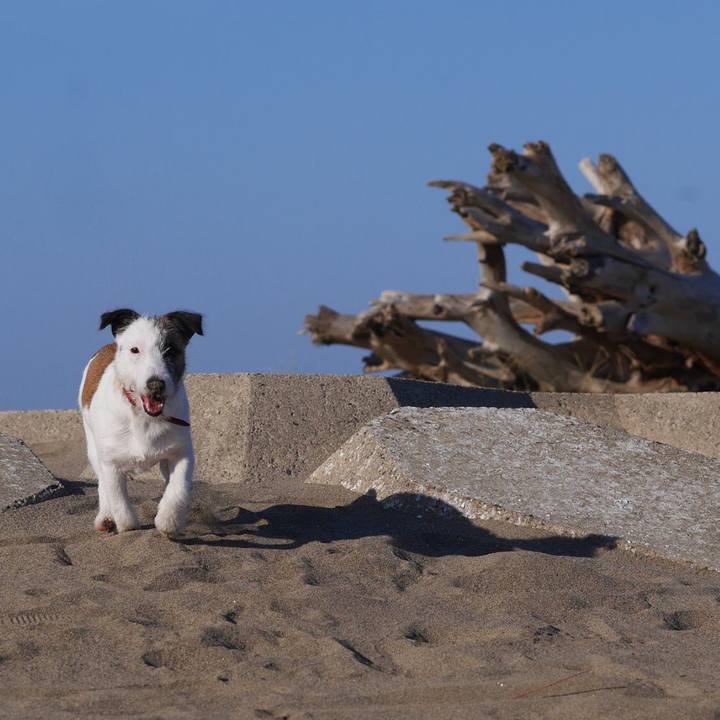 Ee94a577 249d 4032 b21f 57b8ae56538a