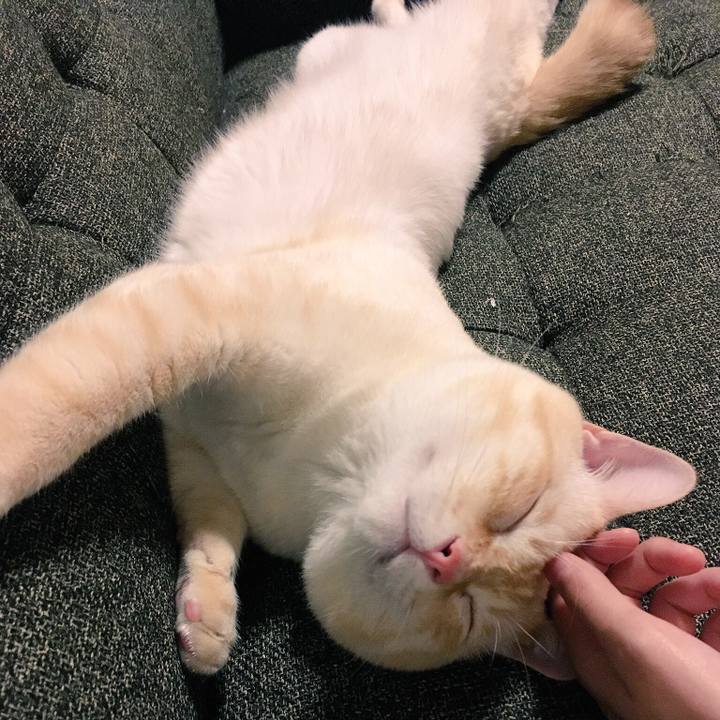 Ee957d27 0389 47aa a184 703d2c0dfa9d